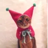 🤩 Эмодзи «彡 Котики 𖥔» для Telegram