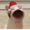 🤩 Эмодзи «彡 Котики 𖥔» для Telegram