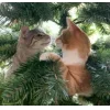 🤩 Эмодзи «彡 Котики 𖥔» для Telegram