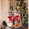 🤩 Эмодзи «彡 Котики 𖥔» для Telegram