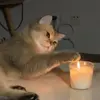 🐾 Эмодзи «Котики Гиф» для Telegram