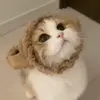 🐾 Эмодзи «Котики Гиф» для Telegram