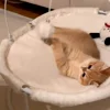 🐾 Эмодзи «Котики Гиф» для Telegram