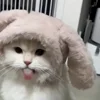 🐾 Эмодзи «Котики Гиф» для Telegram