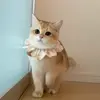 🐾 Эмодзи «Котики Гиф» для Telegram
