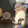 🐾 Эмодзи «Котики Гиф» для Telegram