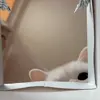 🐾 Эмодзи «Котики Гиф» для Telegram
