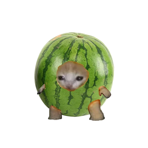 🍈 Стикер «котики овощи коты фрукты» для Telegram