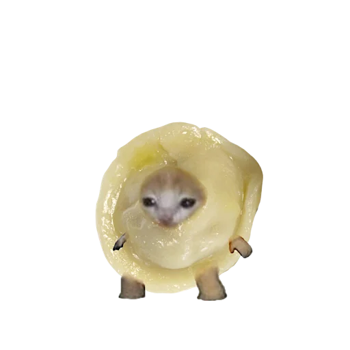 🥟 Стикер «котики овощи коты фрукты» для Telegram