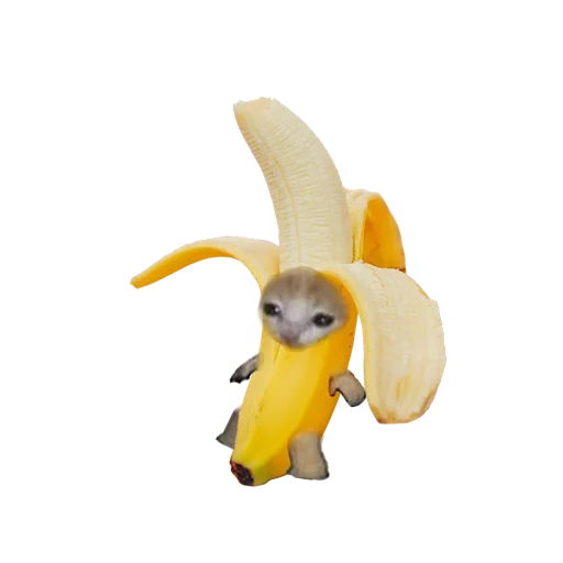 🍌 Стикер «котики овощи коты фрукты» для Telegram