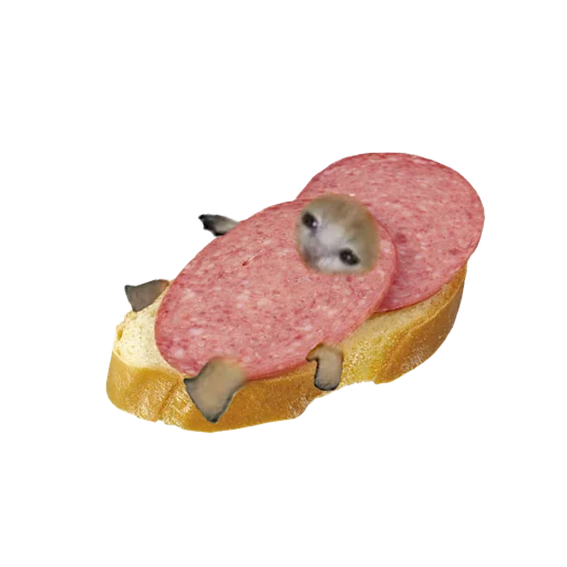 🥪 Стикер «котики овощи коты фрукты» для Telegram