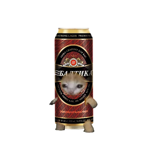🍺 Стикер «котики овощи коты фрукты» для Telegram