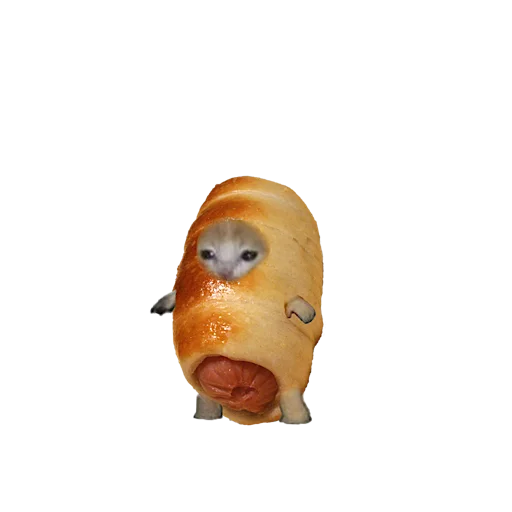 🌭 Стикер «котики овощи коты фрукты» для Telegram