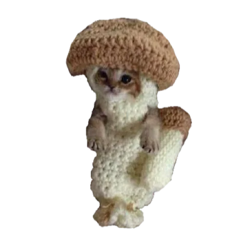 🍄 Стикер «котики овощи коты фрукты» для Telegram