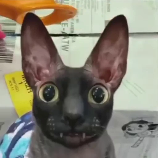 🥺 Стикер «Котомыш Ядовитый и Летучий» для Telegram