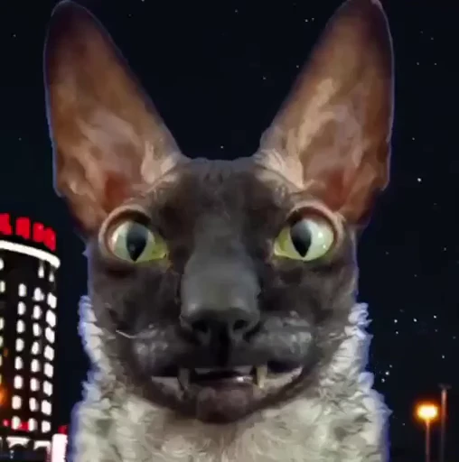 😝 Стикер «Котомыш Ядовитый и Летучий» для Telegram