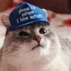 🥺 Эмодзи «Котнота» для Telegram