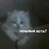 🥴 Эмодзи «Котнота» для Telegram