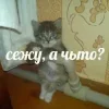 ❔ Эмодзи «Котнота» для Telegram