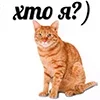 🤩 Эмодзи «Котнота» для Telegram