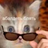 😳 Эмодзи «Котнота» для Telegram