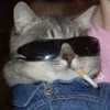 🚬 Эмодзи «Котнота» для Telegram