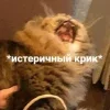 😱 Эмодзи «Котнота» для Telegram