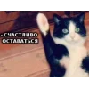👋 Эмодзи «Котнота» для Telegram