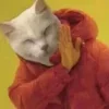 ✋ Эмодзи «Котнота» для Telegram