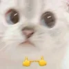 👀 Эмодзи «Котнота» для Telegram