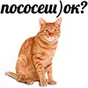 🤩 Эмодзи «Котнота» для Telegram