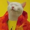☝ Эмодзи «Котнота» для Telegram