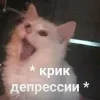 😩 Эмодзи «Котнота» для Telegram