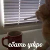 🚬 Эмодзи «Котнота» для Telegram