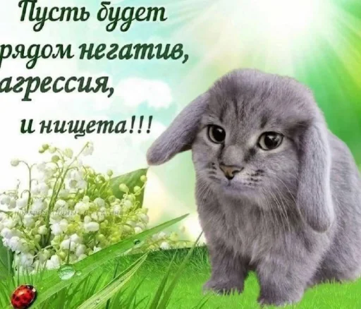 🤩 Стикер «Котокролик» для Telegram