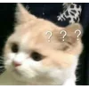 ❓ Эмодзи «👀 коты» для Telegram