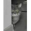 🐱 Эмодзи «👀 коты» для Telegram