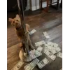 🐱 Эмодзи «👀 коты» для Telegram