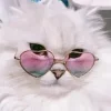 😍 Эмодзи «👀 коты» для Telegram