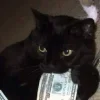 🐱 Эмодзи «👀 коты» для Telegram