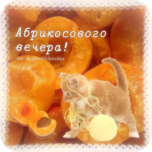👍 Стикер «Котячие открытки» для Telegram