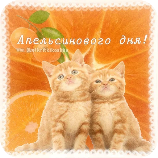 👍 Стикер «Котячие открытки» для Telegram