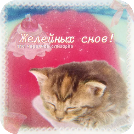 👍 Стикер «Котячие открытки» для Telegram