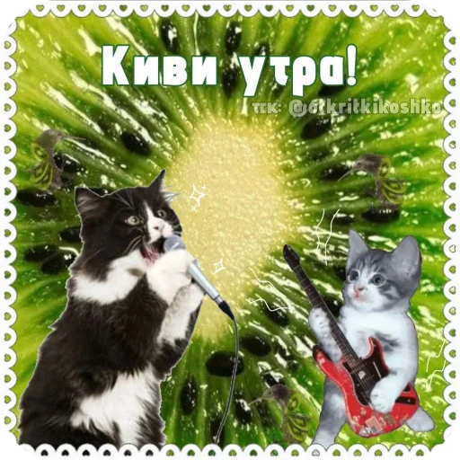 🐱 Стикер «Котячие открытки» для Telegram