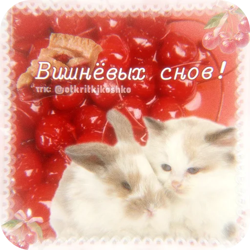🐱 Стикер «Котячие открытки» для Telegram