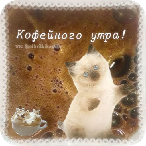👍 Стикер «Котячие открытки» для Telegram