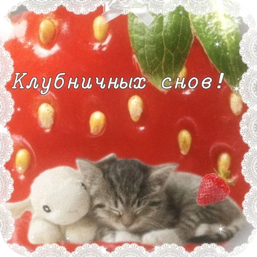 🐱 Стикер «Котячие открытки» для Telegram