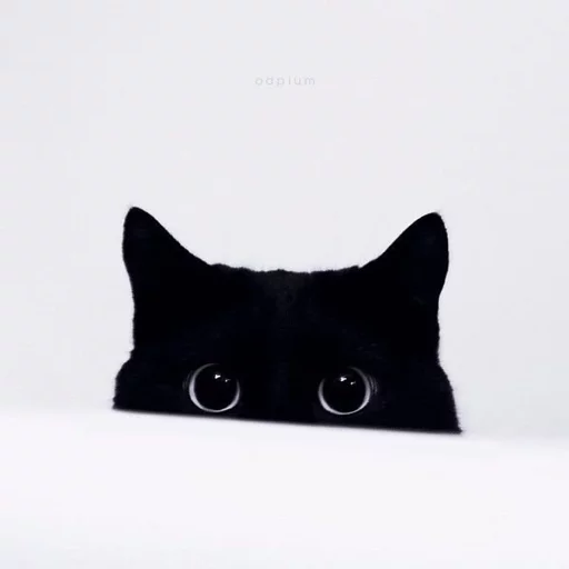 👀 Стикер «Kotya kot» для Telegram