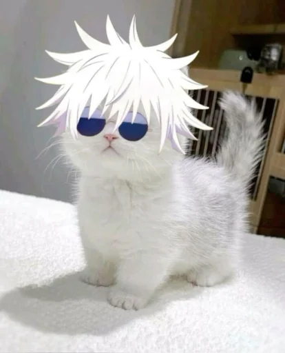 🤩 Стикер «Котяяяяя» для Telegram