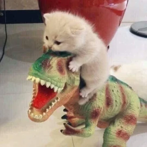🤩 Стикер «Котяяяяя» для Telegram